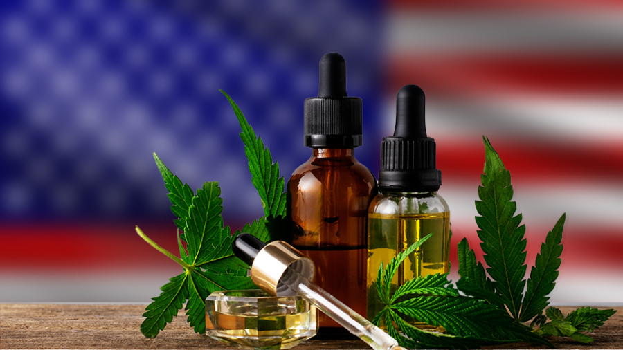 cannabis-oil-bottles-gray-background-with-copy-space